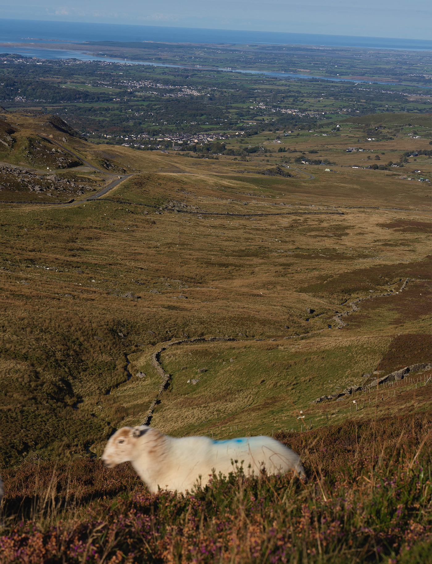 148 155 Feature Snowdonia9