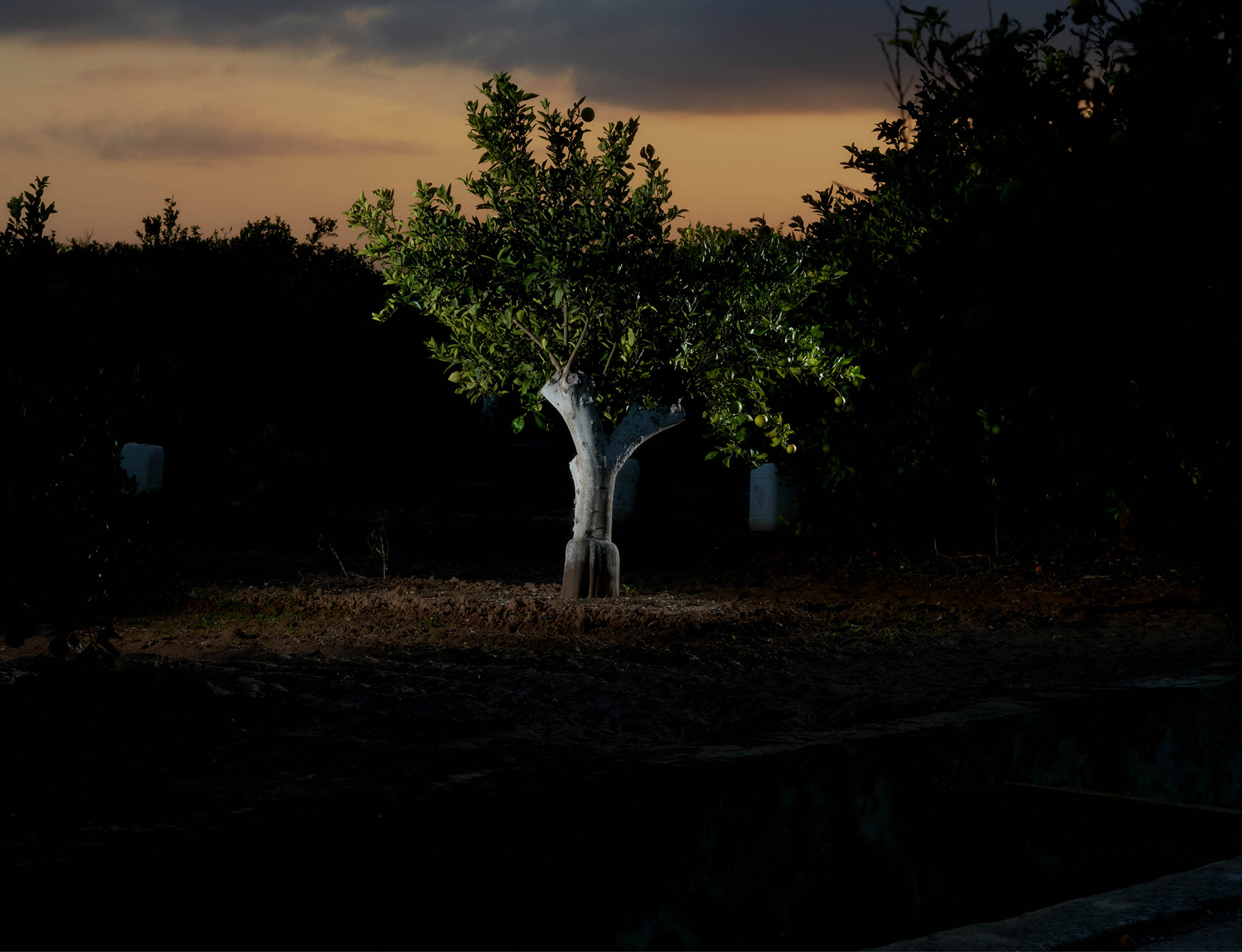 156 163 Feature Museros10