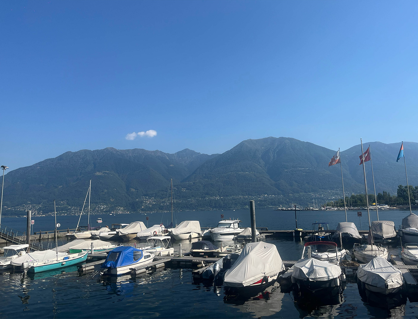 120 127 Feature Locarno Cici Peng B4