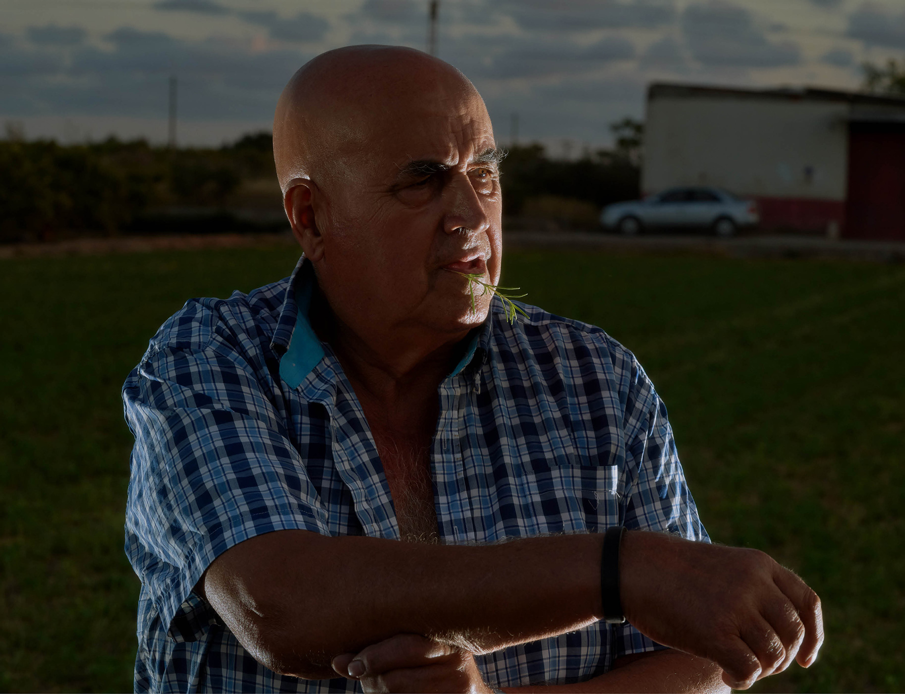 156 163 Feature Museros8