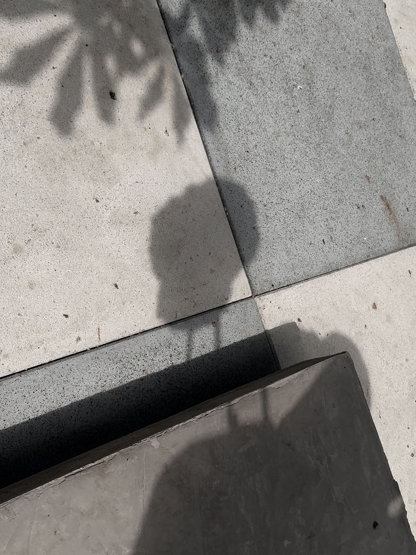 JANUS SHADOW SATURATED