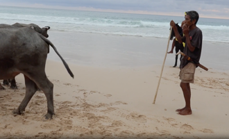 Sumba Island 2026 01 09