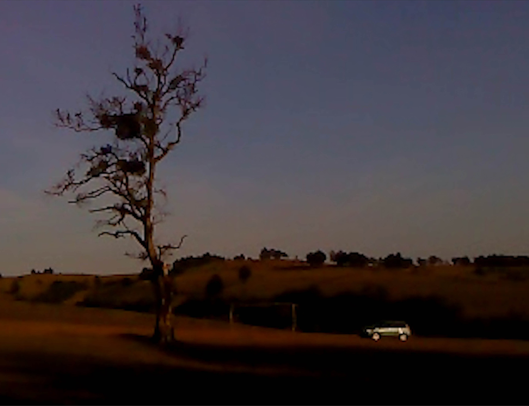 120 127 Feature Locarno Cici Peng B3