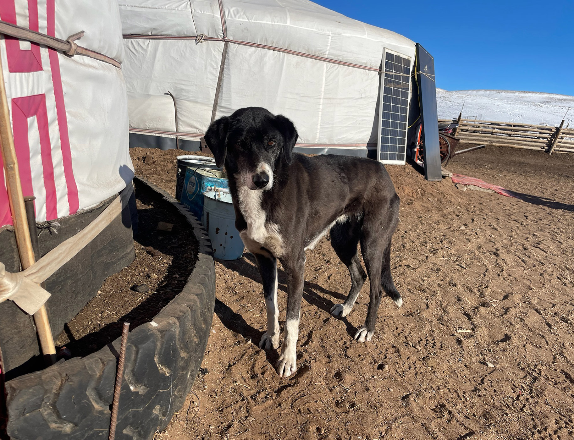 Mongolia Jacob Dreyer Tom Simpson 5